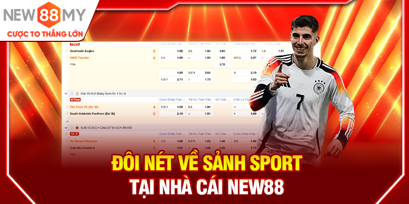 Đôi nét về sảnh Sport tại nhà cái New88